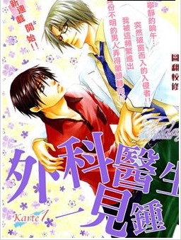 外科医生的一见钟情,外科医生的一见钟情漫画
